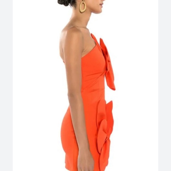 Akita Flower Dress Size L - Picture 2 of 5